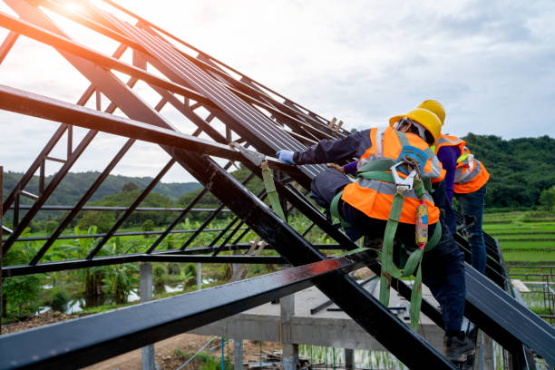 Best Best Roofing Contractors  in Park Rapids, MN