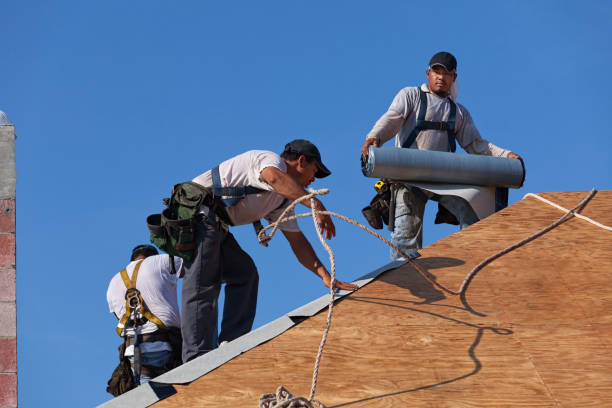 Roof Repair Estimates in Park Rapids, MN