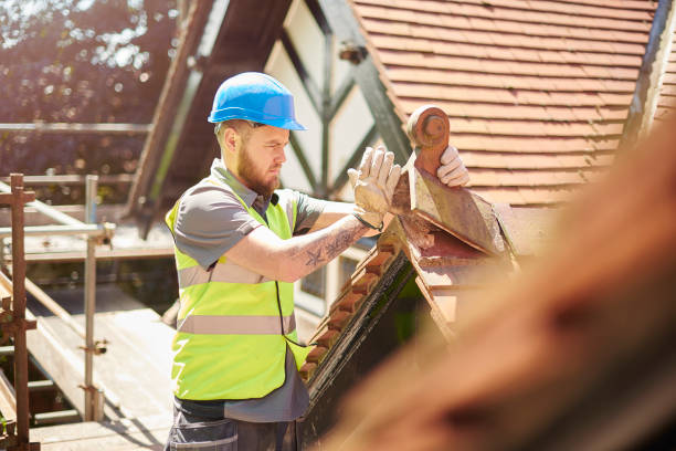 Best New Roof Installation  in Park Rapids, MN