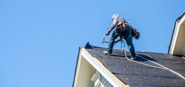 Best Commercial Roofing Services  in Park Rapids, MN
